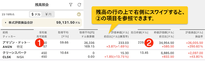 残高照会表示項目キャプチャ