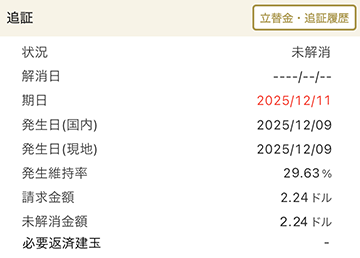 入金必要額_追証キャプチャ