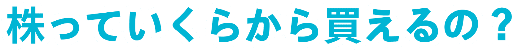 株っていくらから買えるの？