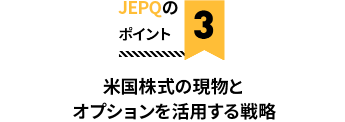 JEPQのポイント3 米国株式の現物とオプションを活用する戦略