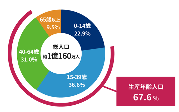 ベトナムの年齢別人口割合グラフ
