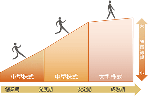企業の発展段階と時価総額のイメージ図：創業期から発展期は小型株式、発展期から安定期は中型株式、安定期から成熟期は大型株式。小型株式、中型株式、大型株式の順に、時価総額は大きくなっていく。