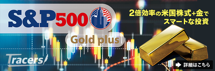 S&P500ƃS[h2{œłVI