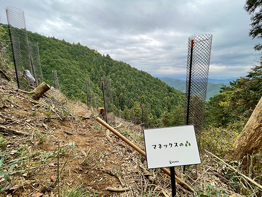 マネックスの森