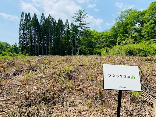 2024年5月時点での様子