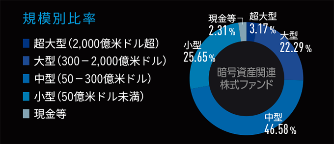 暗号資産関連株式ファンドの規模別構成比を示す図。中型（50〜300億米ドル）が46.58%で最多、小型25.65%、大型22.29%、超大型3.17%、現金等2.31%。