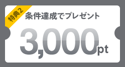 特典2 条件達成でプレゼント 3,000pt